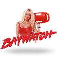 Baywatch icon