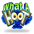 What a Hoot icon