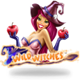 Wild Witches icon