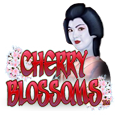 Cherry Blossoms icon