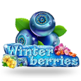 Winter Berries icon