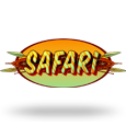 Safari icon