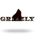 Grizzly icon