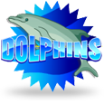 Dolphins icon