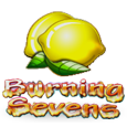 Burning Sevens icon