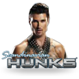 Scandinavian Hunks icon