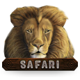 Safari icon