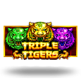Triple Tigers icon