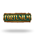 Fortunium icon