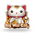 Big Win Cat icon