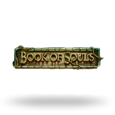 Book Of Souls icon