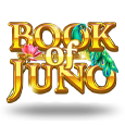 Book Of Juno icon