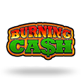 Burning Cash icon