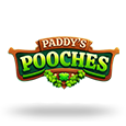 Paddys Pooches icon